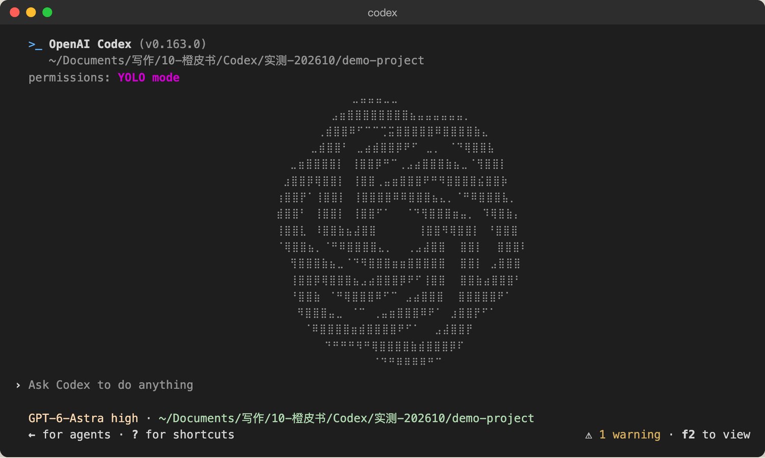 Codex 0.163.0全屏界面首屏：顶部版本和路径，中间点阵logo，底部输入框和状态栏