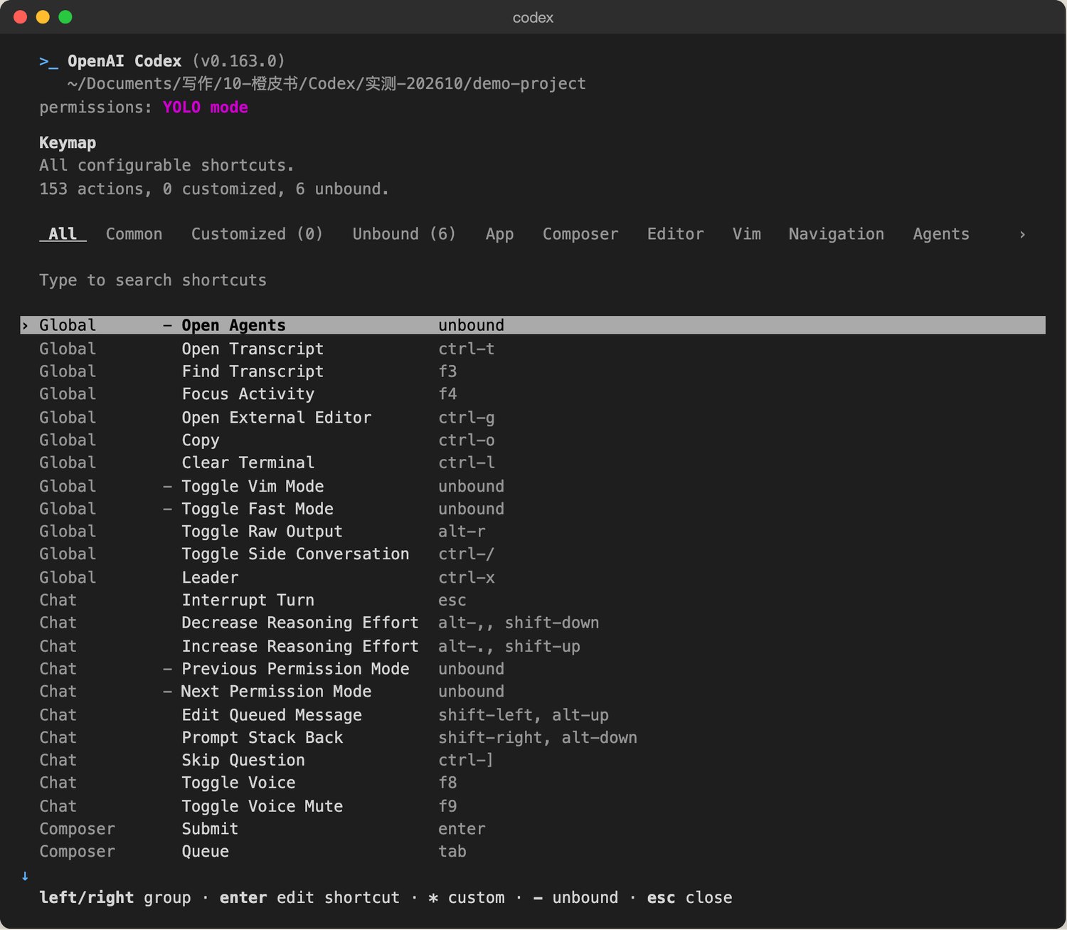 /keymap列表：Open External Editor ctrl-g、Copy ctrl-o、Clear Terminal ctrl-l、Toggle Raw Output alt-r、Toggle Side Conversation ctrl-/、Leader ctrl-x、Interrupt Turn esc等