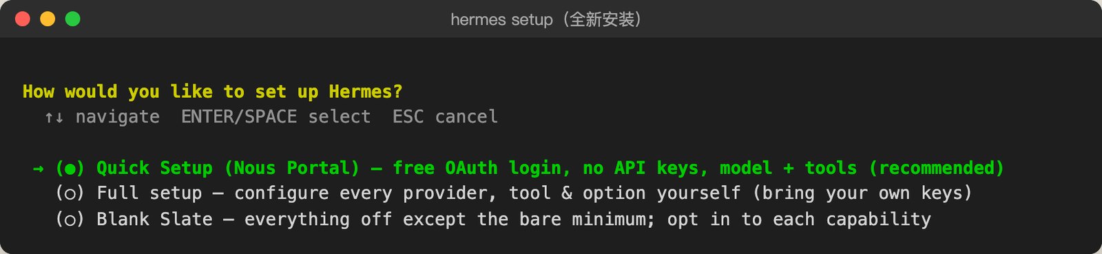 hermes setup 首屏，三种安装模式